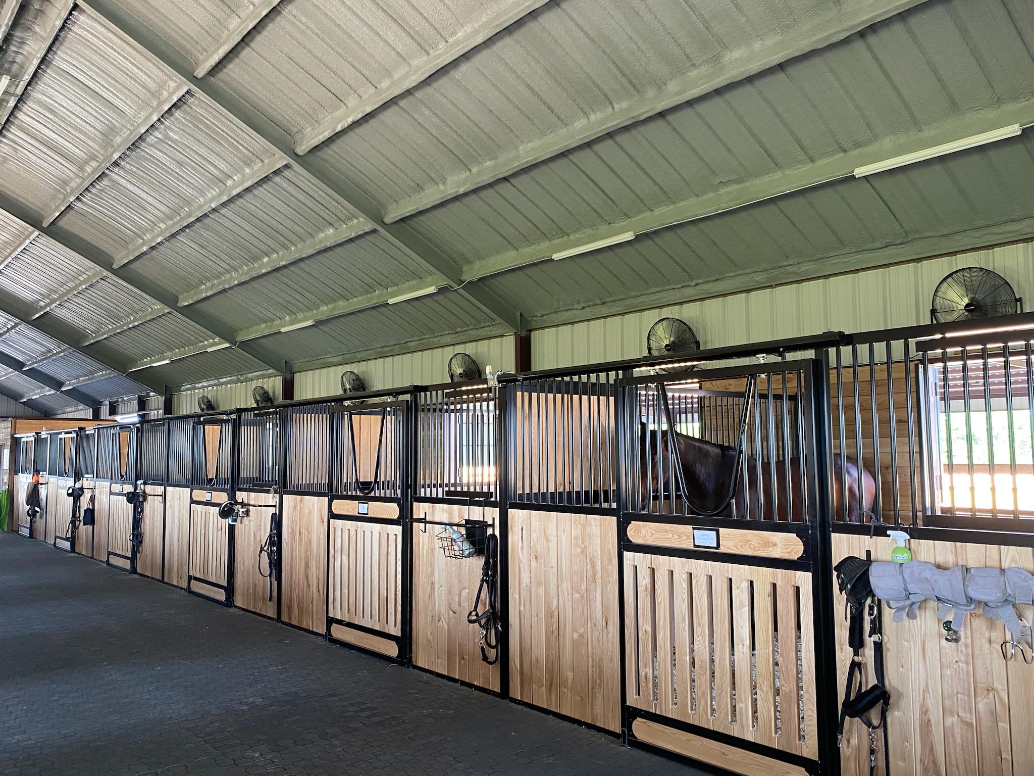 Premium horse stalls inside Lucky Star Farm barn in Celina Texas